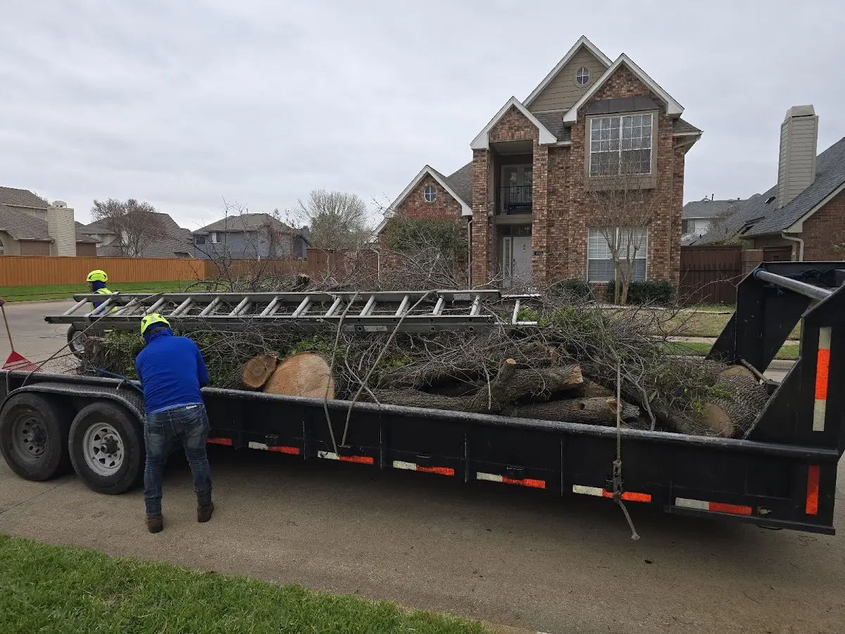 Expert Lot Clearing with proper safety equipment in San Carlos